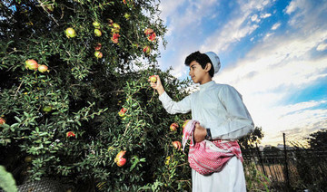 Al-Baha man sells pomegranates online