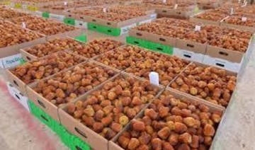 Saudi dates among major exhibits at Hong Kong trade fair