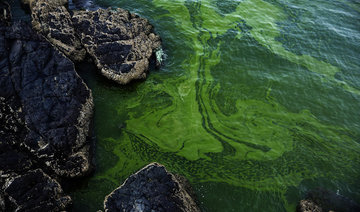 Growing algae bloom in Arabian Sea tied to climate change