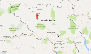 Plane crash-lands in S.Sudan with 45 onboard: officials