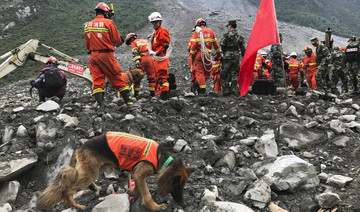 Dog in forlorn search for owner after China landslide: state media