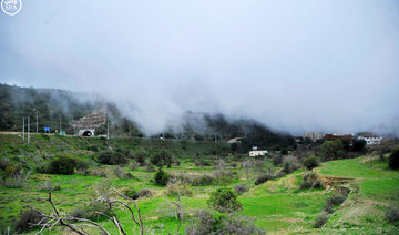 Leisurely walk in Al-Baha park turns into a nightmare