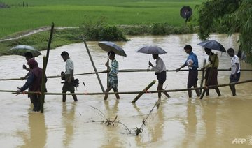 Wild elephants trample two Rohingya refugees in Bangladesh — police