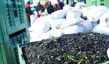 Tunisia expects surge in olive oil production to boost battered economy