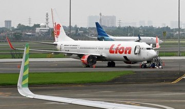 Indonesia to speed up release of Lion Air crash report