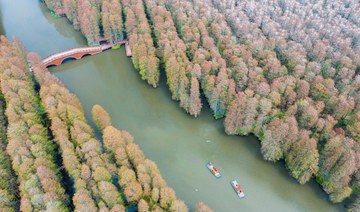 People riding on boats at a wetland park in Xinghua, in eastern China's Jiangsu province. (AFP)