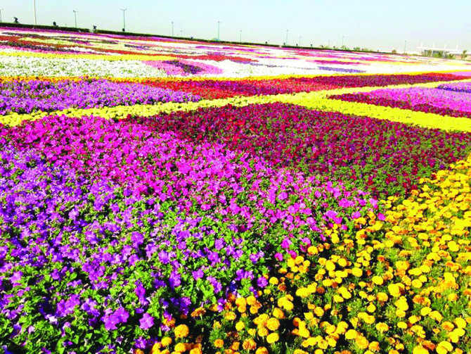 Yanbu flower and gardens festival fascinates visitors