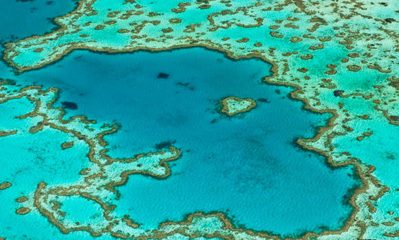 Australia’s Great Barrier Reef kept off UNESCO ‘danger’ list for now