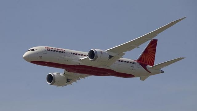 Air India red faced over lizard in in-flight meal