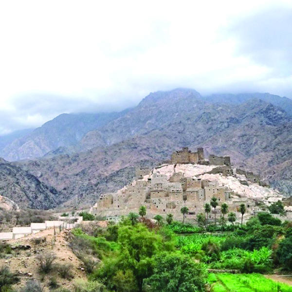 Thee Ain, a unique village in Al-Baha