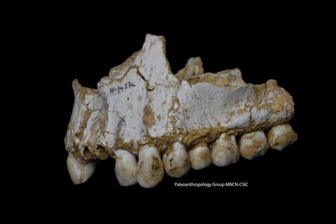 Toothache? Scientists find Neanderthals used antibiotics and aspirin too