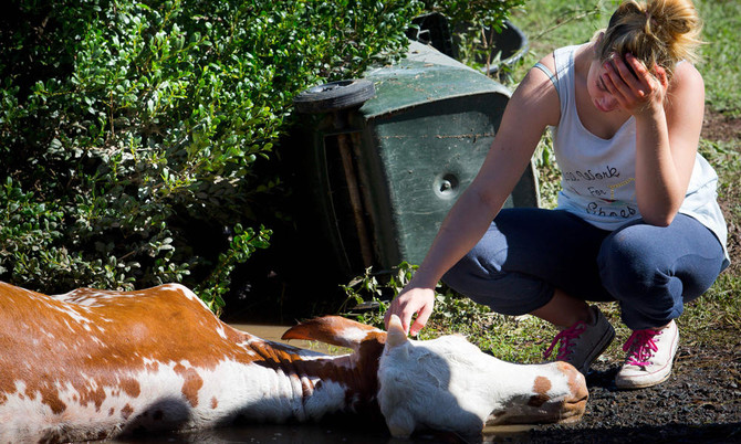 Australia floods still rising with two dead, four missing