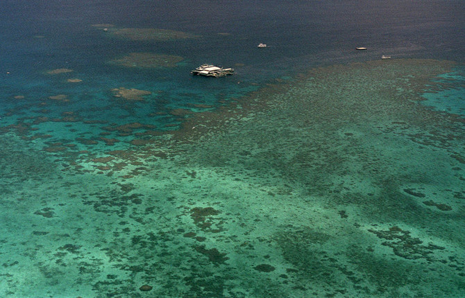 UNESCO has ‘serious concern’ over Great Barrier Reef coral