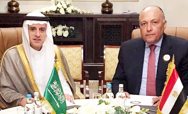 Saudi, Egyptian foreign ministers meet to strengthen ties