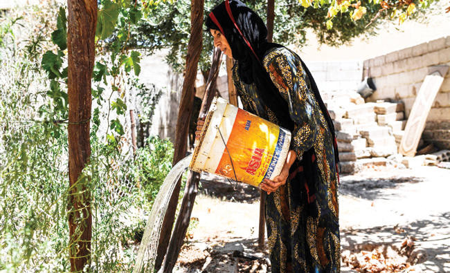 A Syrian couple’s quest to save the grapes of Raqqa