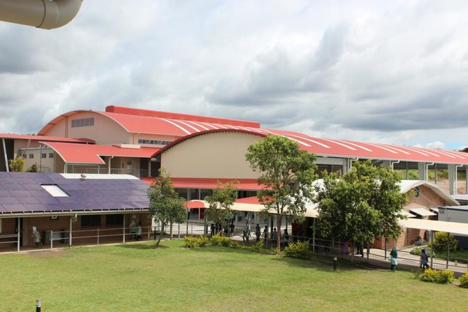 Rotting pig’s head dumped at Islamic school gate in Brisbane