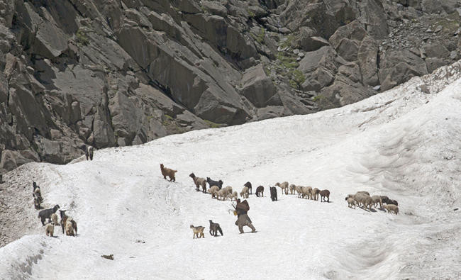 Study: Asia’s glaciers face massive melt from global warming