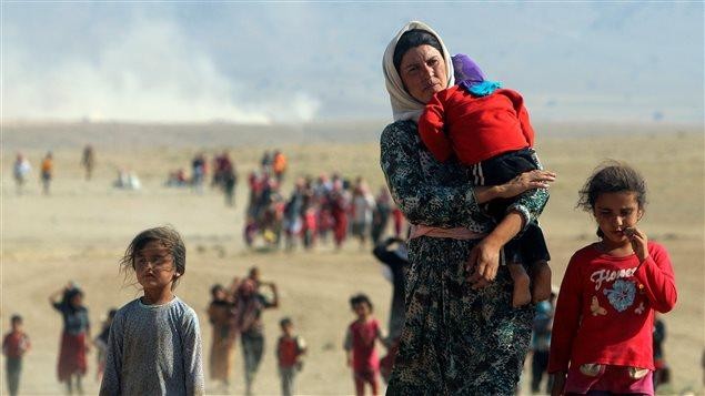 800 Yazidis refugees resettled in Canada: Minister