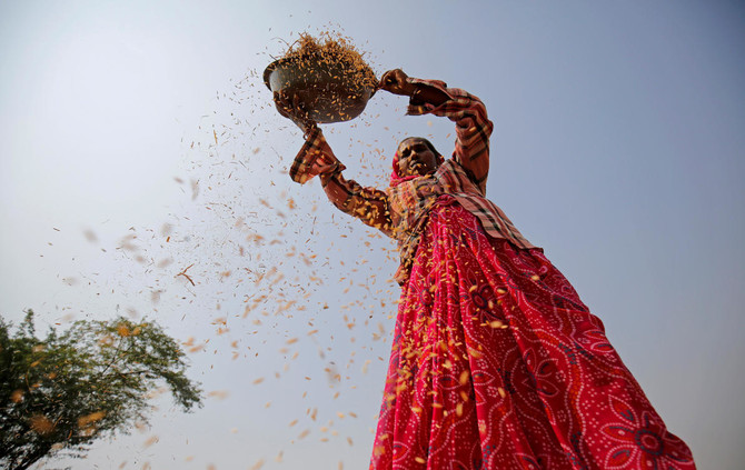 India’s rice exports forecast to hit record 12.3 million tons, thanks to Bangladesh